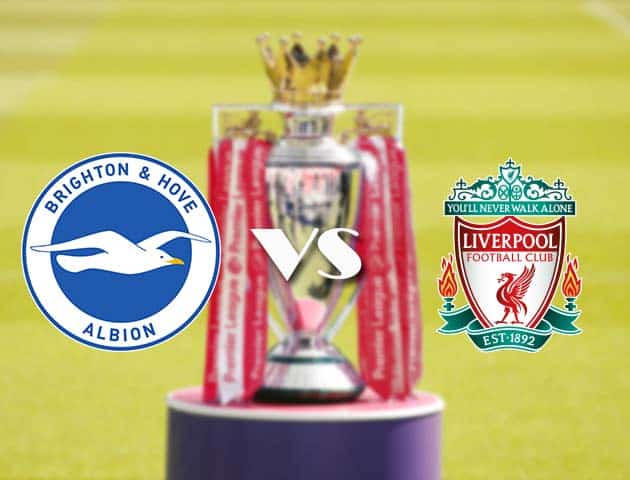 Soi kèo tỉ số Brighton & Hove Albion vs Liverpool, 28/11/2020 – Ngoại Hạng Anh
