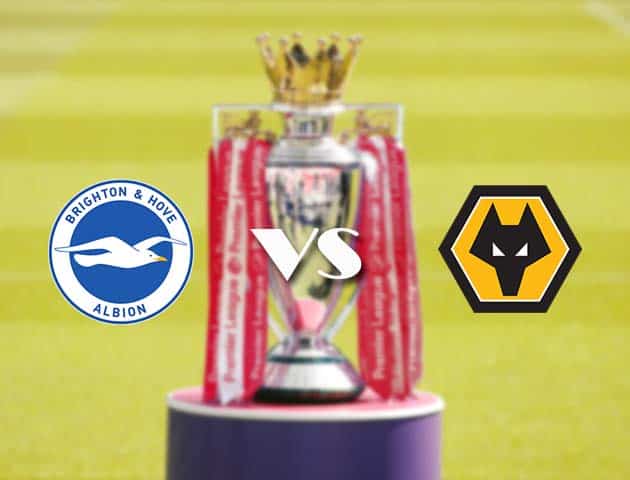Soi kèo nhà cái Brighton vs Wolves, 03/01/2021 - Ngoại Hạng Anh Soi kèo nhà cái Brighton vs Wolves, 03/01/2021 - Ngoại Hạng Anh