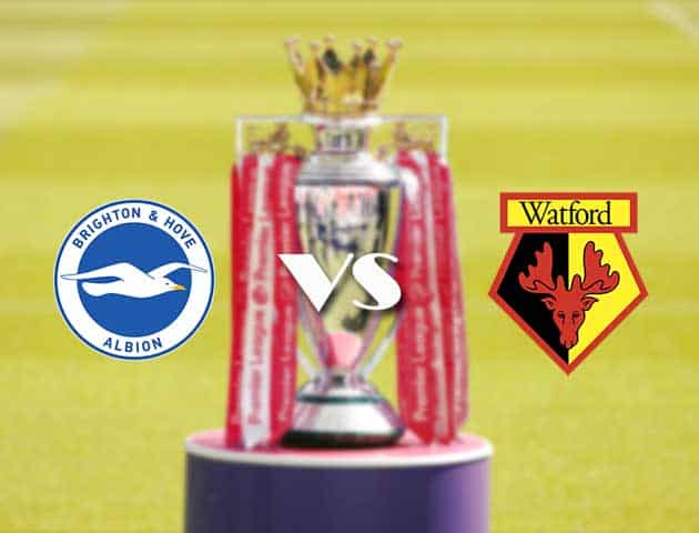Soi kèo tỉ số Brighton vs Watford, 21/08/2021 – Ngoại hạng Anh